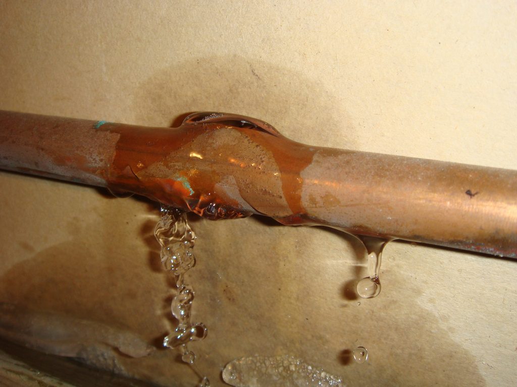 Leak Detection & Repair Near Me