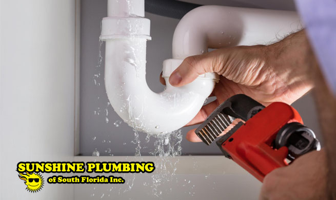 Leak Detection Specialist in Davie