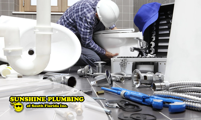 Trusted Plumbers in Davie