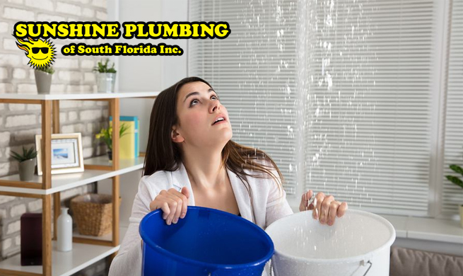 Residential Plumbing Service; Leaky Plumbing
