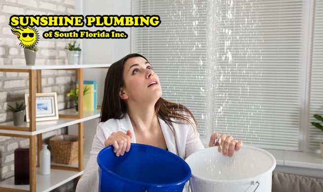 Professional Davie Plumbing Contracto