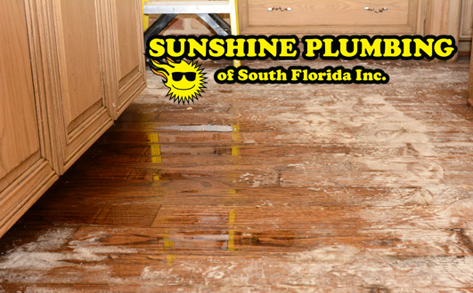 Plumber Weston FL